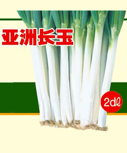 你知道日本葱种怎么消毒吗？