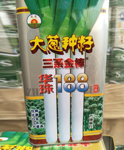 天津原装铁杆葱种价格