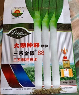 镇江当季大葱良种厂家