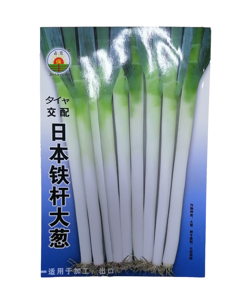 吉林日本铁杆大葱
