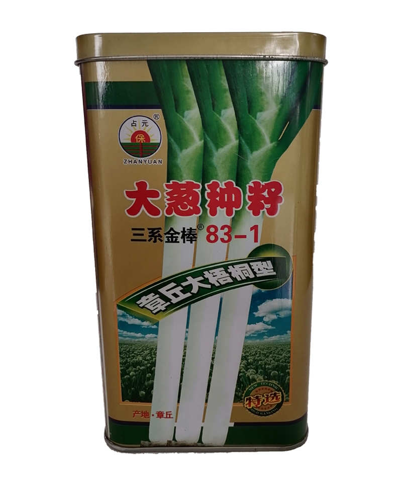 大葱种子