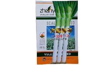 大葱种子厂家告诉你如何种植才能长得更好
